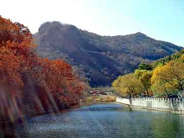 新澳天天开奖资料大全旅游团，奔驰c级论坛